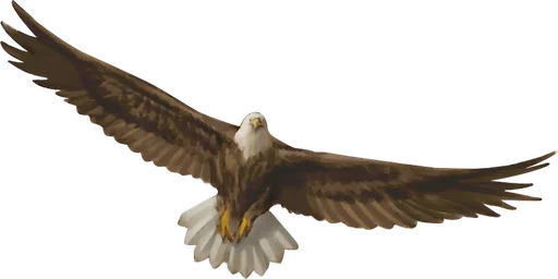Eagle, a CR 0 beast